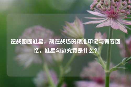 逆战圆圈准星,刻在战场的精准印记与青春回忆,准星勾边究竟是什么?