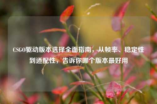 CSGO驱动版本选择全面指南,从帧率、稳定性到适配性,告诉你哪个版本最好用