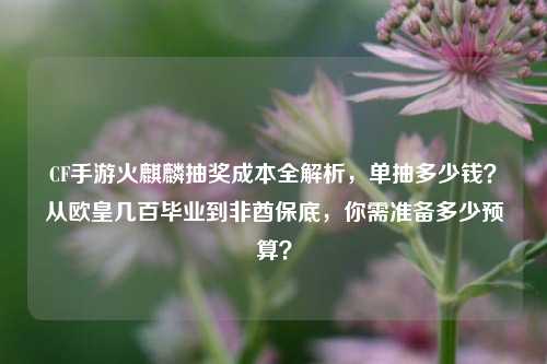 CF手游火麒麟抽奖成本全解析,单抽多少钱?从欧皇几百毕业到非酋保底,你需准备多少预算?