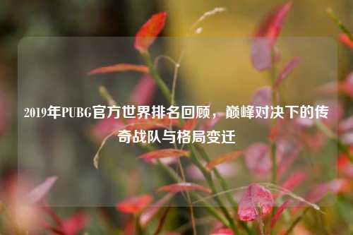 2019年PUBG官方世界排名回顾,巅峰对决下的传奇战队与格局变迁