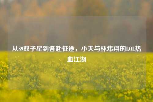 从S9双子星到各赴征途,小天与林炜翔的LOL热血江湖