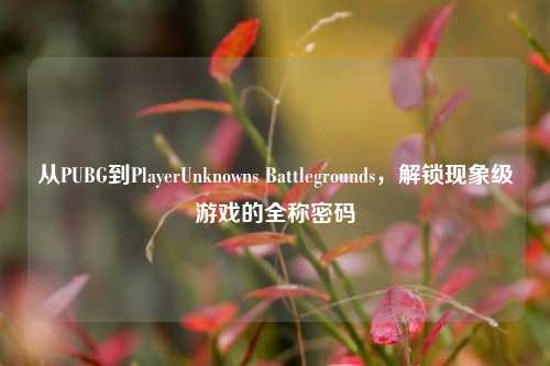 从PUBG到PlayerUnknowns Battlegrounds,解锁现象级游戏的全称密码