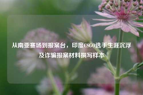 从南亚赛场到报案台,印度CSGO选手生涯沉浮及诈骗报案材料撰写样本