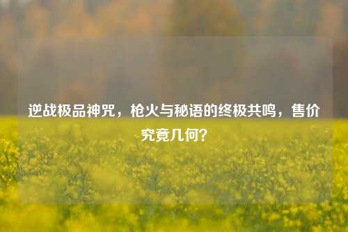 逆战极品神咒,枪火与秘语的终极共鸣,售价究竟几何?