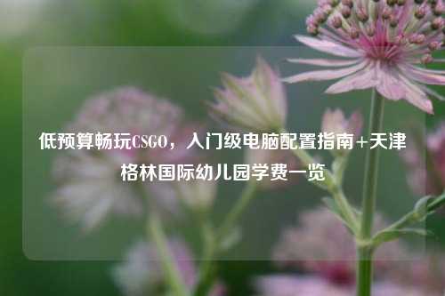 低预算畅玩CSGO,入门级电脑配置指南+天津格林国际幼儿园学费一览