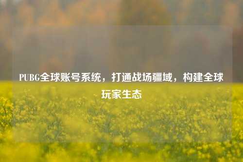PUBG全球账号系统,打通战场疆域,构建全球玩家生态