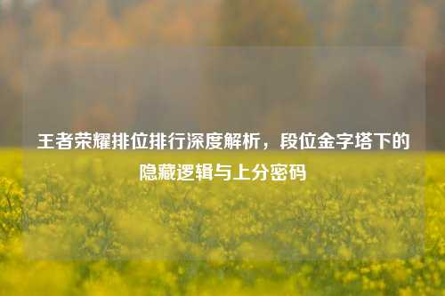 王者荣耀排位排行深度解析,段位金字塔下的隐藏逻辑与上分密码