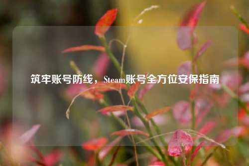 筑牢账号防线,Steam账号全方位安保指南