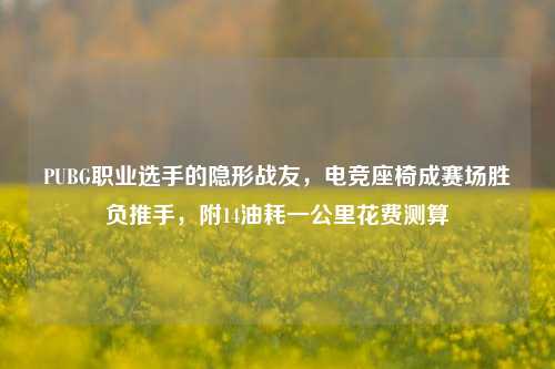 PUBG职业选手的隐形战友,电竞座椅成赛场胜负推手,附14油耗一公里花费测算