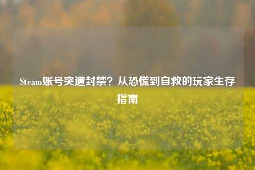 Steam账号突遭封禁?从恐慌到自救的玩家生存指南