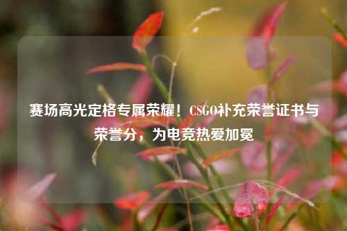 赛场高光定格专属荣耀!CSGO补充荣誉证书与荣誉分,为电竞热爱加冕