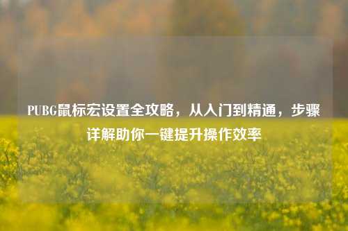 PUBG鼠标宏设置全攻略,从入门到精通,步骤详解助你一键提升操作效率