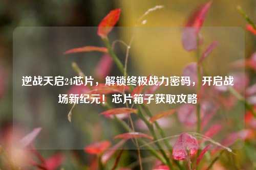 逆战天启24芯片，解锁终极战力密码，开启战场新纪元！芯片箱子获取攻略