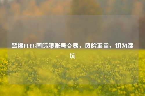 警惕PUBG国际服账号交易,风险重重,切勿踩坑