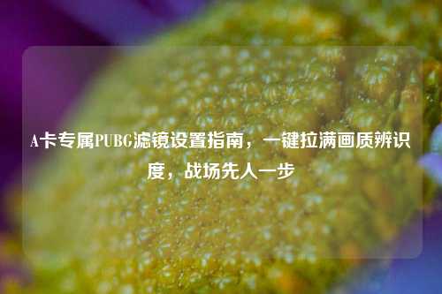 A卡专属PUBG滤镜设置指南,一键拉满画质辨识度,战场先人一步