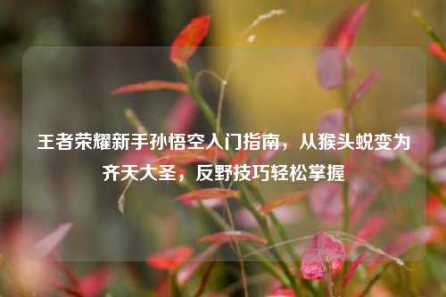 王者荣耀新手孙悟空入门指南,从猴头蜕变为齐天大圣,反野技巧轻松掌握