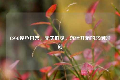 CSGO摸鱼日常,无关胜负,沉迷开箱的悠闲时刻