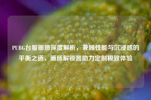 PUBG台服画质深度解析,兼顾性能与沉浸感的平衡之道,画质解锁器助力定制极致体验