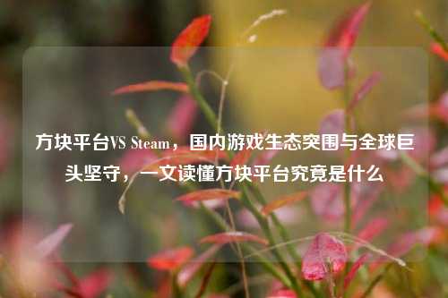 方块平台VS Steam,国内游戏生态突围与全球巨头坚守,一文读懂方块平台究竟是什么