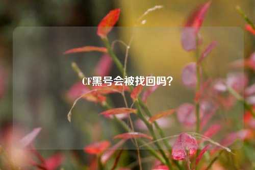 CF黑号会被找回吗？