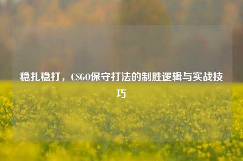 稳扎稳打，CSGO保守打法的制胜逻辑与实战技巧