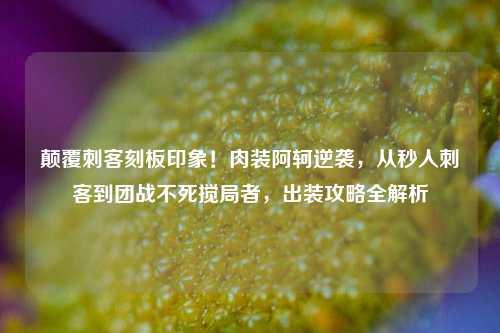 颠覆刺客刻板印象!肉装阿轲逆袭,从秒人刺客到团战不死搅局者,出装攻略全解析