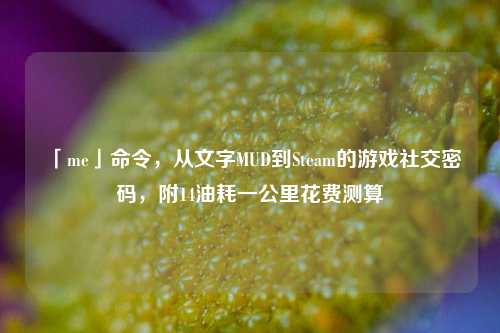 「me」命令,从文字MUD到Steam的游戏社交密码,附14油耗一公里花费测算