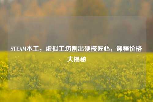 STEAM木工,虚拟工坊刨出硬核匠心,课程价格大揭秘