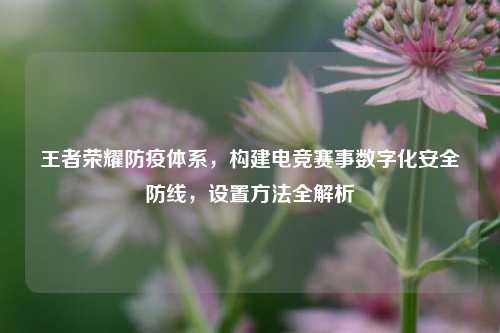 王者荣耀防疫体系，构建电竞赛事数字化安全防线，设置方法全解析