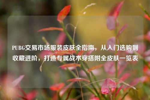 PUBG交易市场服装皮肤全指南,从入门选购到收藏进阶,打造专属战术穿搭附全皮肤一览表