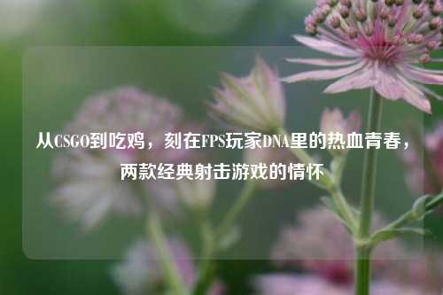 从CSGO到吃鸡，刻在FPS玩家DNA里的热血青春，两款经典射击游戏的情怀