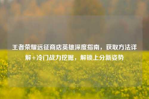 王者荣耀远征商店英雄深度指南,获取方法详解+冷门战力挖掘,解锁上分新姿势
