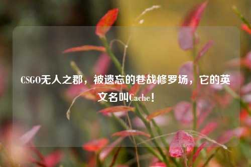 CSGO无人之郡,被遗忘的巷战修罗场,它的英文名叫Cache!