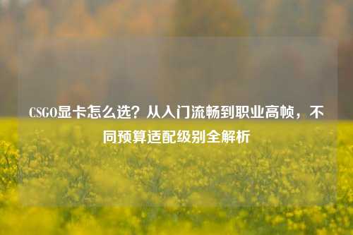 CSGO显卡怎么选？从入门流畅到职业高帧，不同预算适配级别全解析