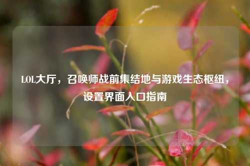 LOL大厅，召唤师战前集结地与游戏生态枢纽，设置界面入口指南