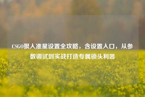 CSGO狠人准星设置全攻略，含设置入口，从参数调试到实战打造专属锁头利器