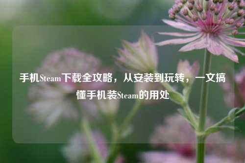 手机Steam下载全攻略，从安装到玩转，一文搞懂手机装Steam的用处