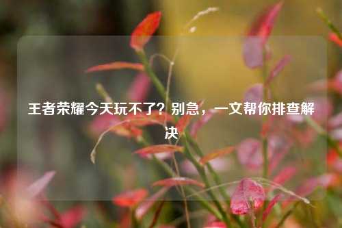 王者荣耀今天玩不了?别急,一文帮你排查解决