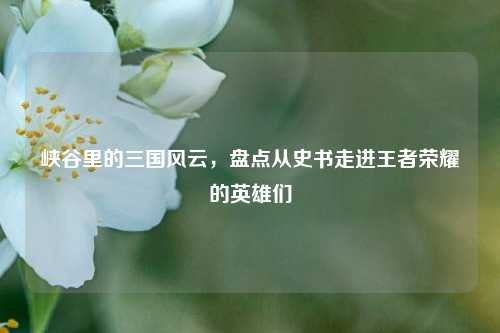 峡谷里的三国风云,盘点从史书走进王者荣耀的英雄们