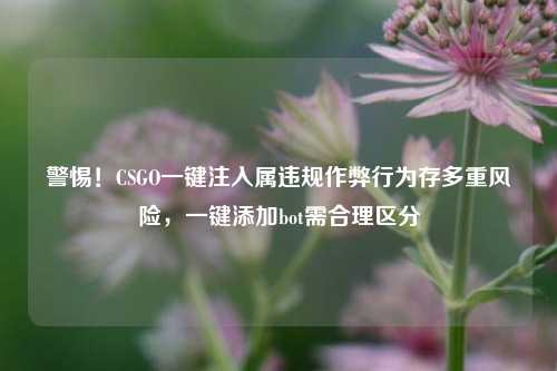 警惕!CSGO一键注入属违规作弊行为存多重风险,一键添加bot需合理区分