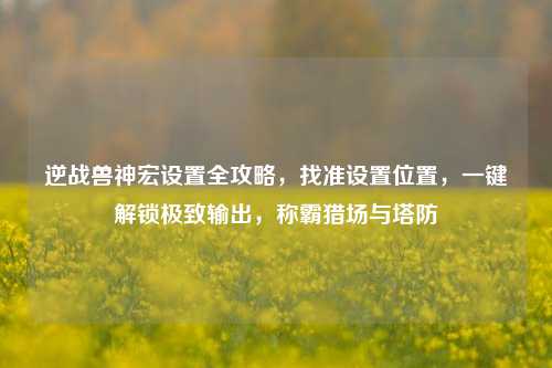 逆战兽神宏设置全攻略，找准设置位置，一键解锁极致输出，称霸猎场与塔防