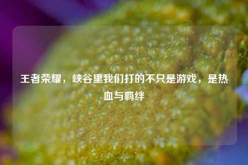 王者荣耀,峡谷里我们打的不只是游戏,是热血与羁绊