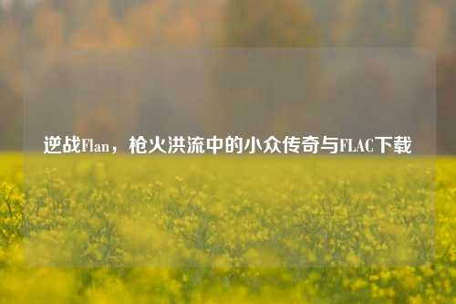 逆战Flan,枪火洪流中的小众传奇与FLAC下载