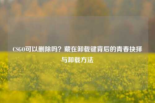 CSGO可以删除吗？藏在卸载键背后的青春抉择与卸载方法