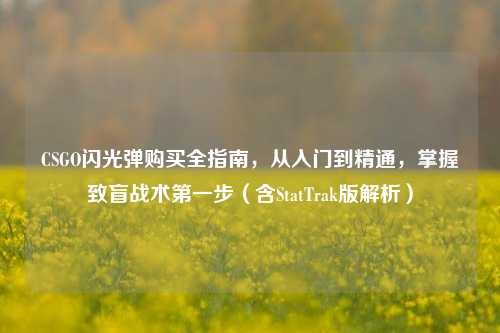 CSGO闪光弹购买全指南,从入门到精通,掌握致盲战术第一步(含StatTrak版解析)