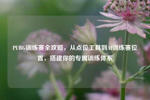 PUBG训练赛全攻略,从点位工具到AI训练赛位置,搭建你的专属训练体系