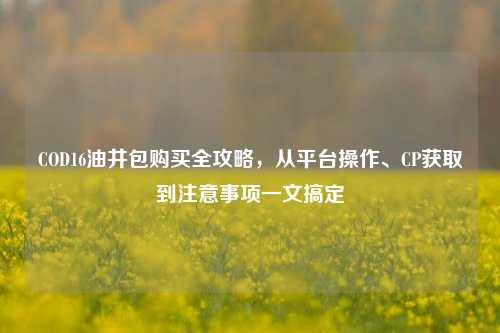COD16油井包购买全攻略,从平台操作、CP获取到注意事项一文搞定