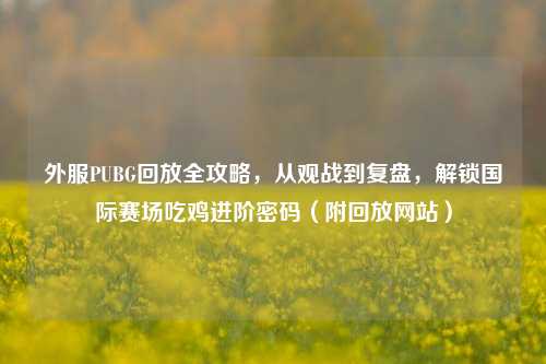 外服PUBG回放全攻略,从观战到复盘,解锁国际赛场吃鸡进阶密码(附回放网站)