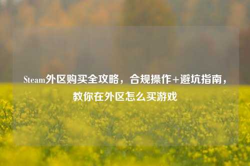Steam外区购买全攻略，合规操作+避坑指南，教你在外区怎么买游戏