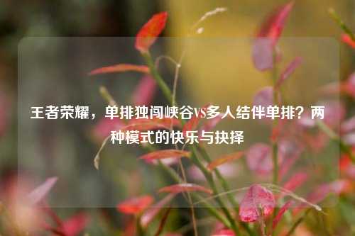 王者荣耀,单排独闯峡谷VS多人结伴单排?两种模式的快乐与抉择